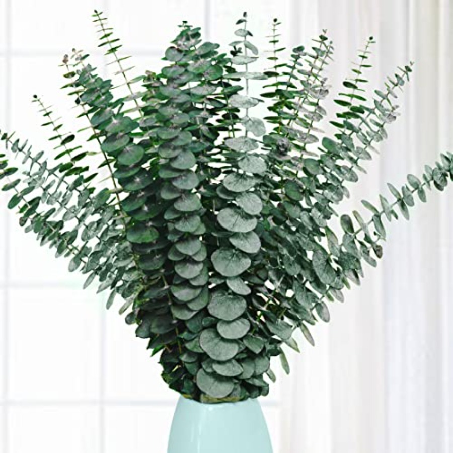 Eucalyptus Preserved - กิ่งยูคาลิปตัสแห้งแบบถนอมสภาพ 20 ชิ้น ขนาด 17 นิ้ว