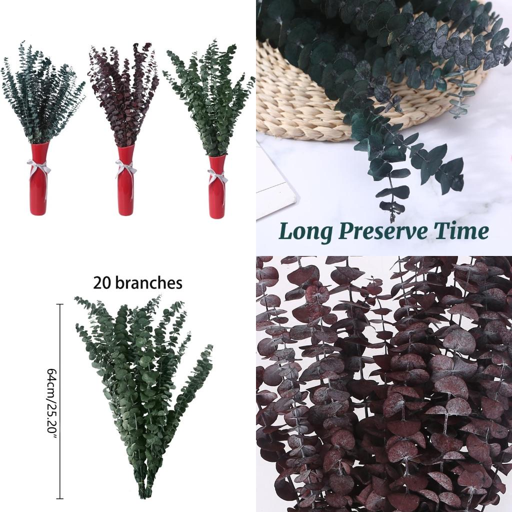 Eucalyptus Preserved - 20 ชิ้นที่เก็บรักษาไว้สำหรับยูคาลิปตัสสดสาขาลำต้นแห้งพืชใบช่อดอกไม้สำหรับการจัดดอกไม้ GARDEN PARTY คุณภาพสูง
