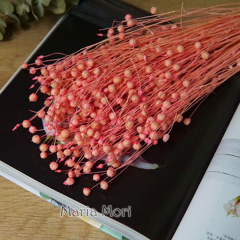 ดอกออร์โมเซีย โฮเซีย แห้ง 35 ก - Eucalyptus Preserved บทวิจารณ์และราคา