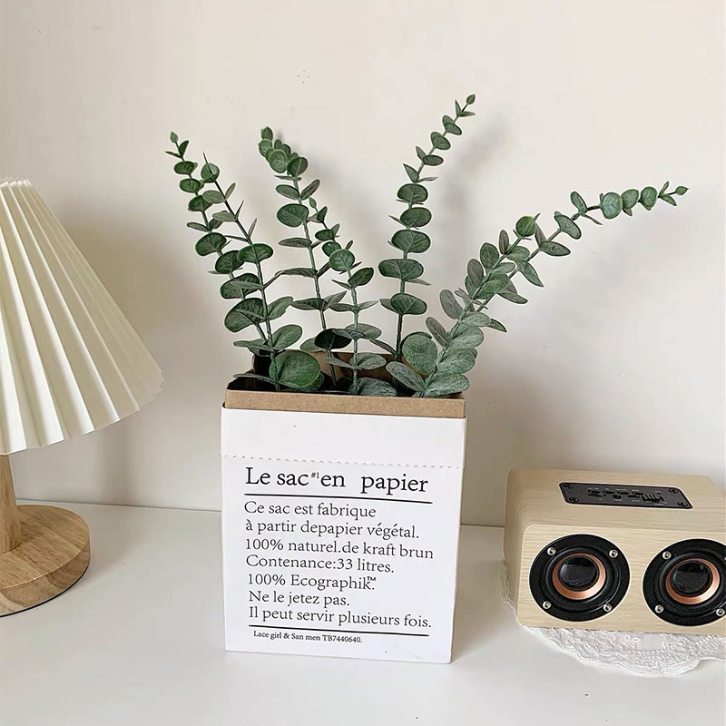 20pcs ประดิษฐ์ Eucalyptus ลําต - Eucalyptus Preserved บทวิจารณ์และราคา