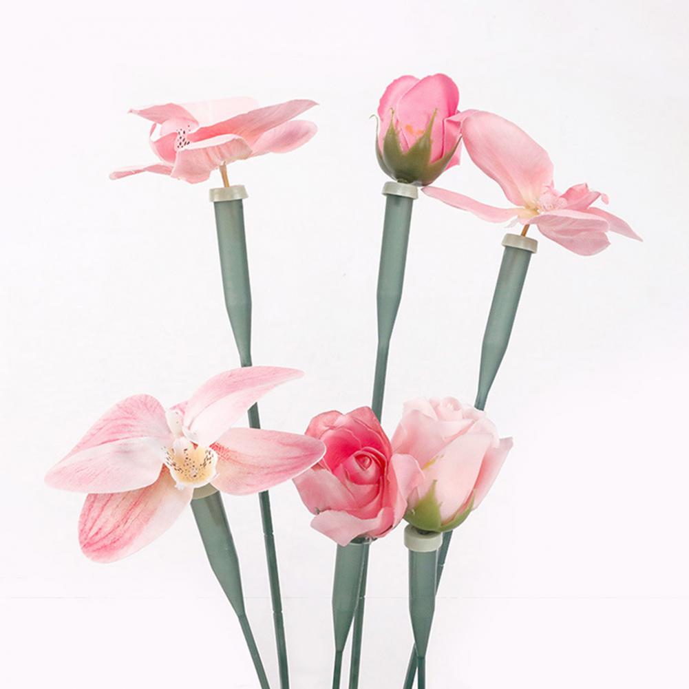 หลอดดอกไม้ขนาด 6 นิ้ว/12 นิ้ว  - Florist Flower Supply บทวิจารณ์และราคา