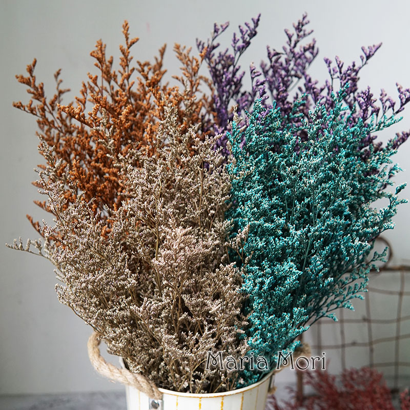 70 กรัม/ดอกลิโมนีอุมะ (หญ้าวาเ - Eucalyptus Preserved บทวิจารณ์และราคา