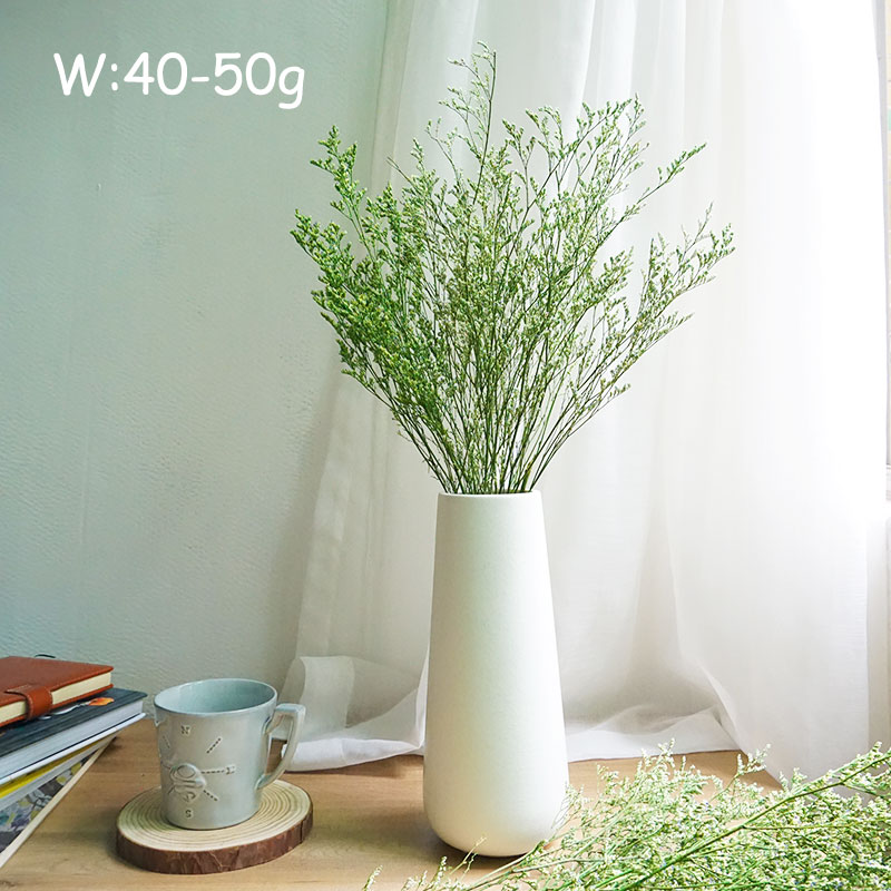 70 กรัม/ดอกลิโมนีอุมะ (หญ้าวาเ - Eucalyptus Preserved บทวิจารณ์และราคา