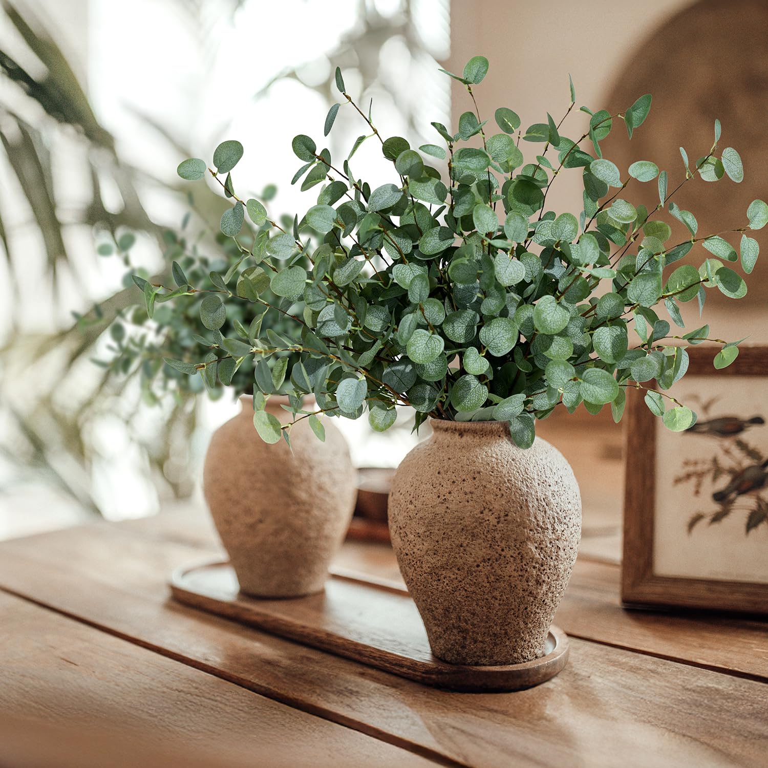 ก้านยูคาลิปตัสเทียม ต้นไม้ประด - Eucalyptus Preserved บทวิจารณ์และราคา