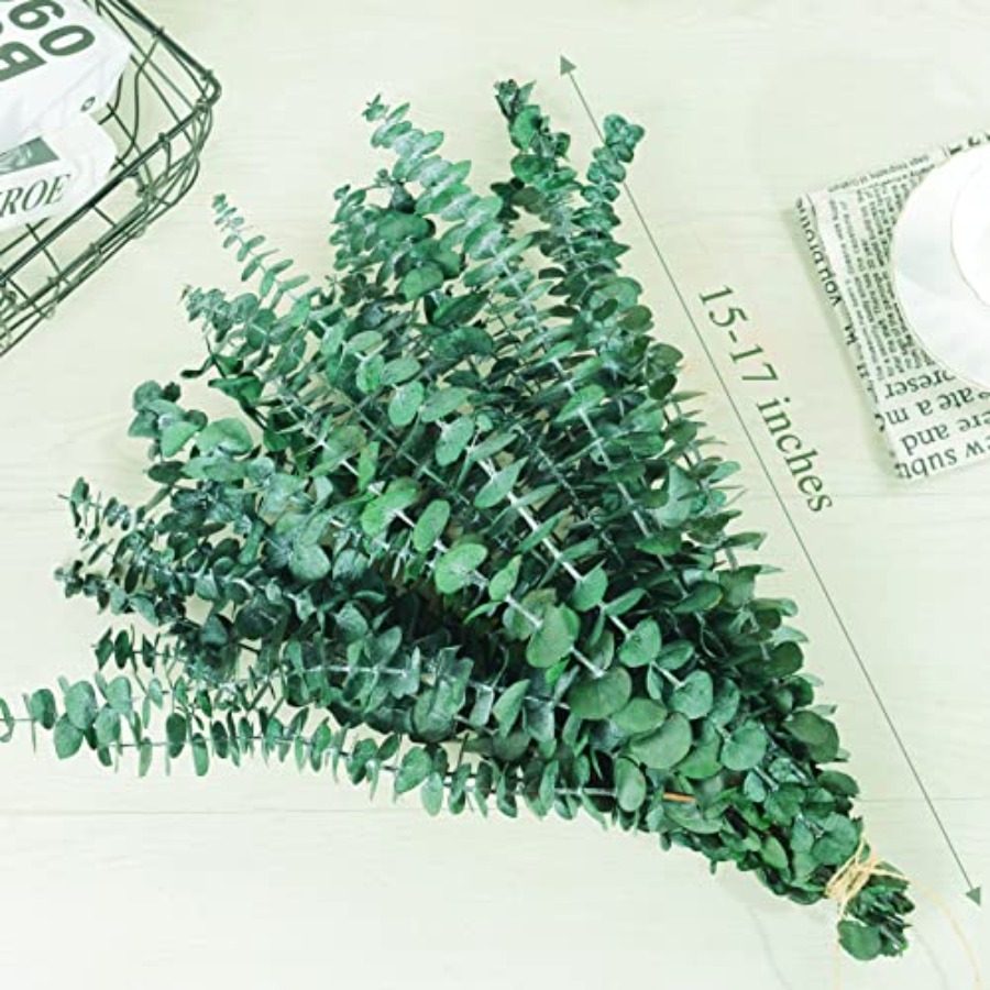 กิ่งยูคาลิปตัสแห้งแบบถนอมสภาพ  - Eucalyptus Preserved บทวิจารณ์และราคา