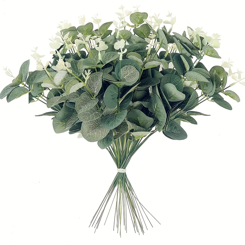 5/10/15 ชิ้น ช่อดอกยูคาลิปตัสป - Eucalyptus Preserved บทวิจารณ์และราคา