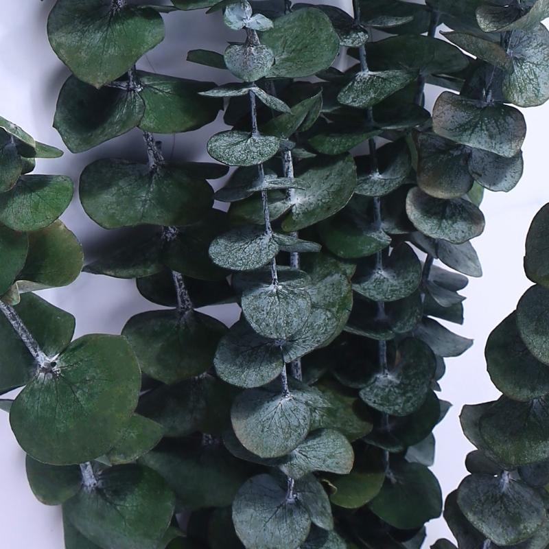 20 ชิ้นที่เก็บรักษาไว้สำหรับยู - Eucalyptus Preserved บทวิจารณ์และราคา