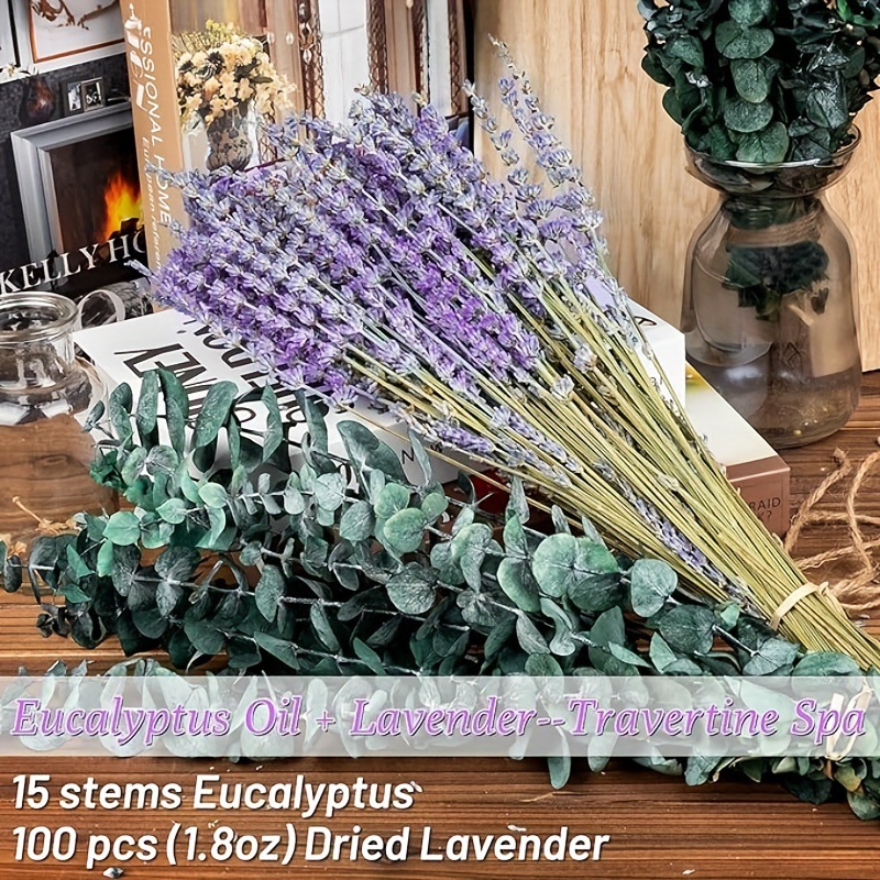 ช่อดอกไม้แห้งลาเวนเดอร์และยูคา - Eucalyptus Preserved บทวิจารณ์และราคา