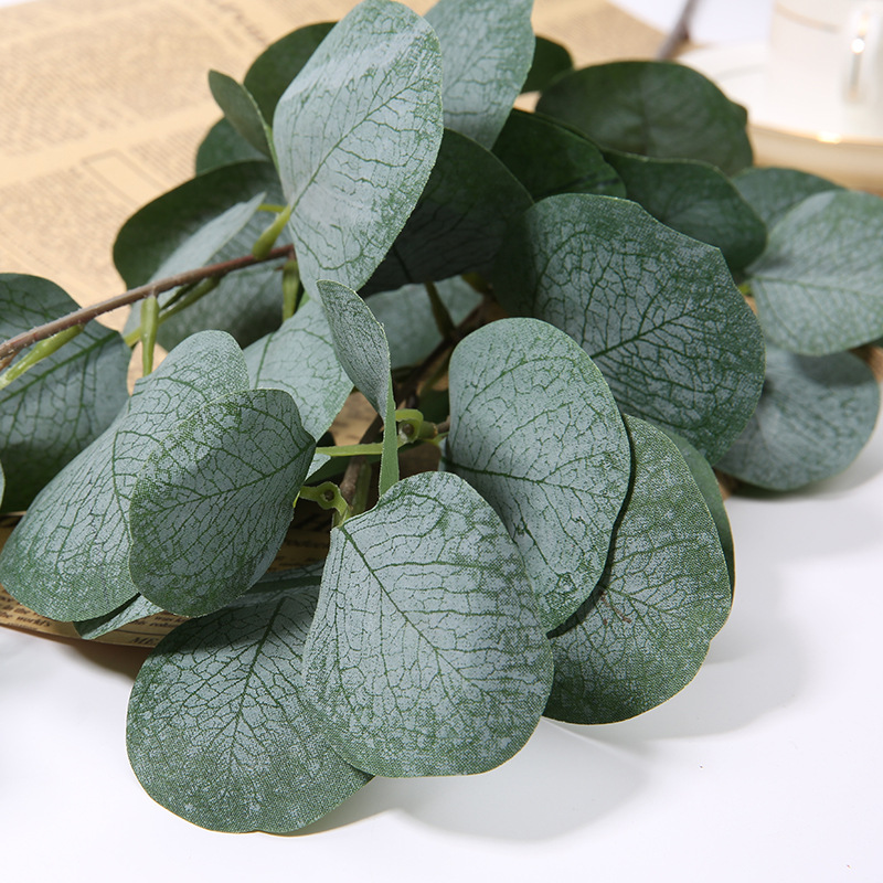 กิ่งใบยูคาลิปตัสประดิษฐ์ 1 ชิ้ - Eucalyptus Preserved บทวิจารณ์และราคา