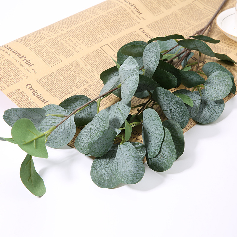 กิ่งใบยูคาลิปตัสประดิษฐ์ 1 ชิ้ - Eucalyptus Preserved บทวิจารณ์และราคา