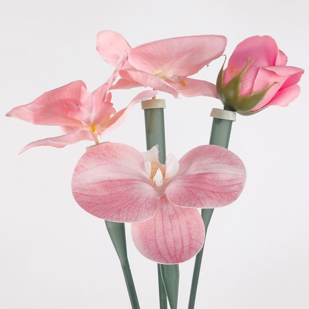 หลอดเก็บรักษาดอกไม้แบบใส ขวดพล - Florist Supply Shop บทวิจารณ์และราคา